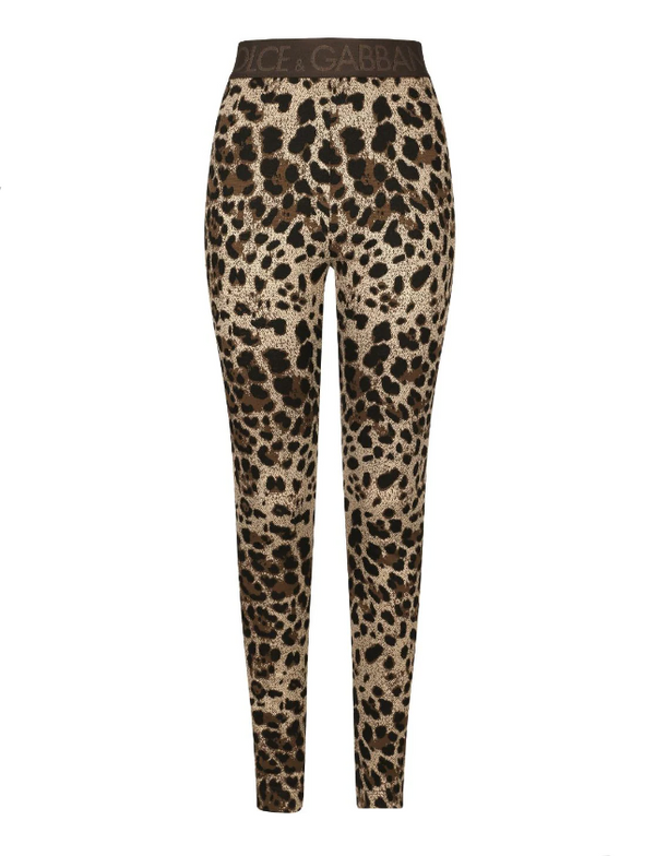 Dolce & Gabbana logo-waistband leopard-print leggings