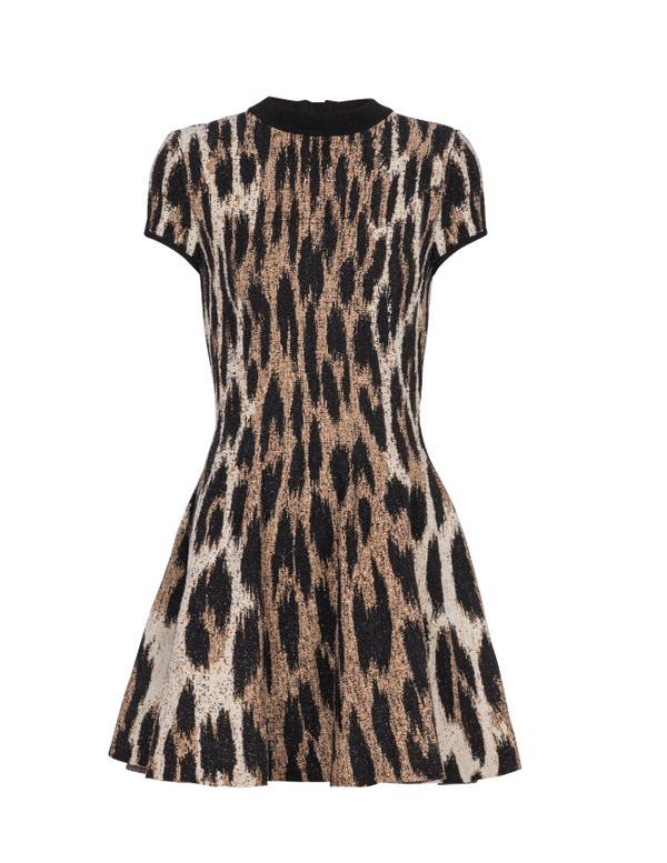 Leopard print dress on a white background